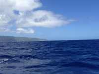 sea-of-change