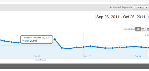 50%+ Drop in Traffic from Google Panda Update