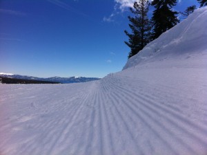 Ant's Eye View At Squaw Valley