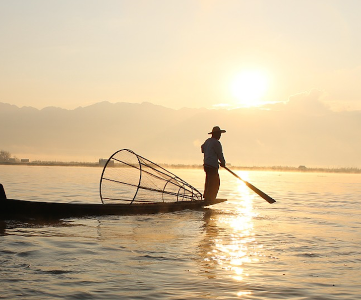 Blogging Is Like Fishing: You Never Know What You're Going To Catch